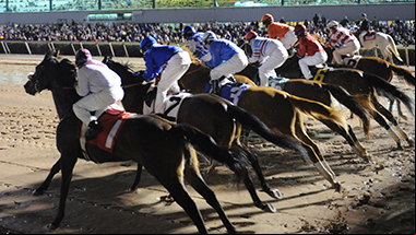 2025+SHRP TICKET HORSE-380X214